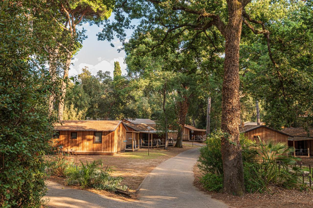 Paradu Ecovillage & Resort มาริน่า เด กาสตาเนโก การ์ดูชี ภายนอก รูปภาพ
